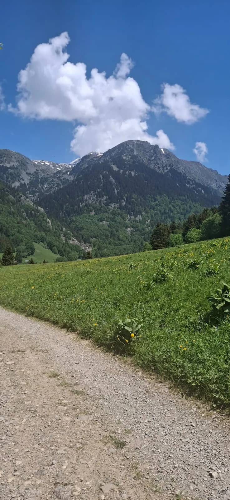 Sentier de randonnée au cœur des montagnes de l'Alpe du Grand Serre